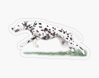 Dalmatian Running Single Dog Art Sticker