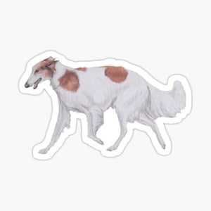 Barzoï Sighthound Canine Dog Art Autocollant 4x2.4