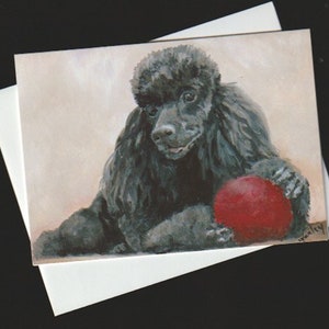 May include: A black poodle dog with a red ball in its mouth. The dog is sitting on a light brown background.