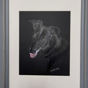 Greyhound Black Original Colored Pencil Drawing on Black Paper Matted Framed Plexi-glass 11x14 Inch