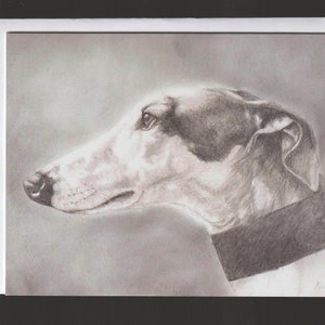 Greyhound Profilo Testa Riproduzione Art Biglietto di auguri 5x7 pollici