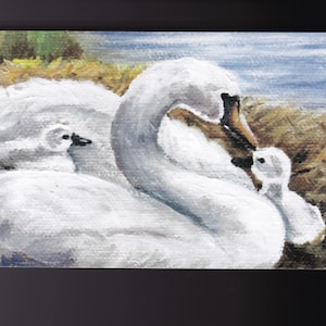 Cartão postal de reprodução de arte de pássaro branco de cisne 5-1/2x4