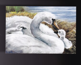 Swan White Wildlife Bird Art Reproduction Postcard 5-1/2x4