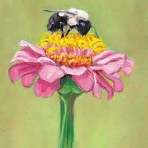 Flower Zinnia & Bumble Bee Insect Original Oil Painting/Wall Art/Botanical/Floral 5x7 Framed Signed