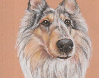 Collie Rough Canine Dog Animal Art Pastel Portrait 9x7 Matted to 8x10 Signed