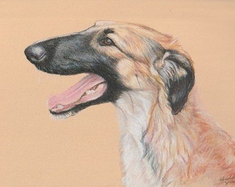 Borzoi Young Dog Art Portrait Canine Original Colored Pencil Drawing 9x7