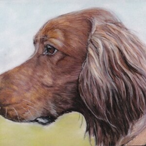 Cartão Postal Reprodução de Arte de Cão Canino Setter Irlandês