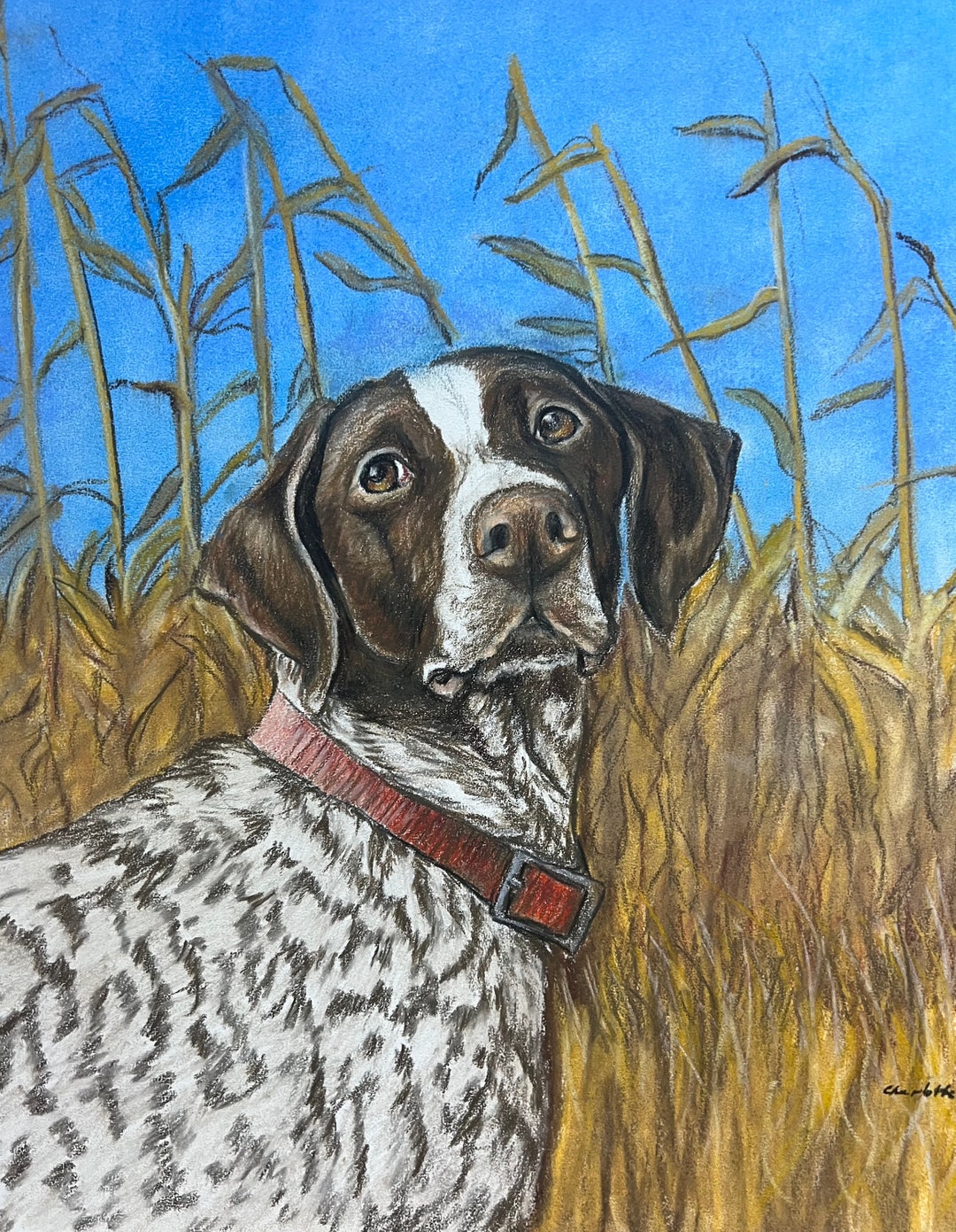 German Shorthaired Pointer Dog Art Colored Pencil/pastel Drawing 16x16 ...
