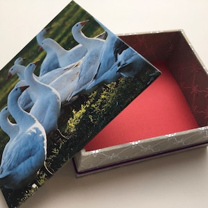 Box Storage Box * Geese * MEMORY BOX Goose Box Crate Box