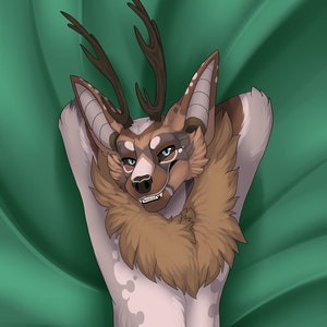 Viirgle Dakimakura SFW/NSFW