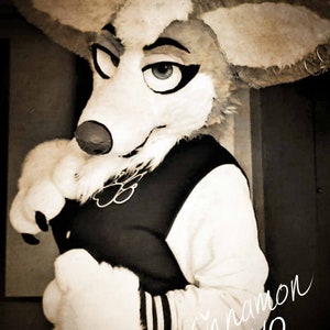 Cinnamon postcard