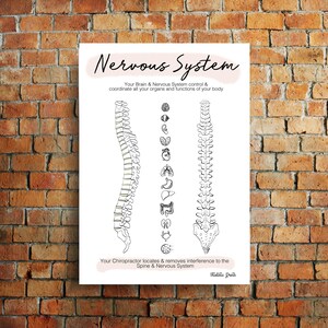 Your Nervous System // Chiropractic // Subluxation Complex  // Symptoms // Nervous System // Healing // Pain // Anatomy