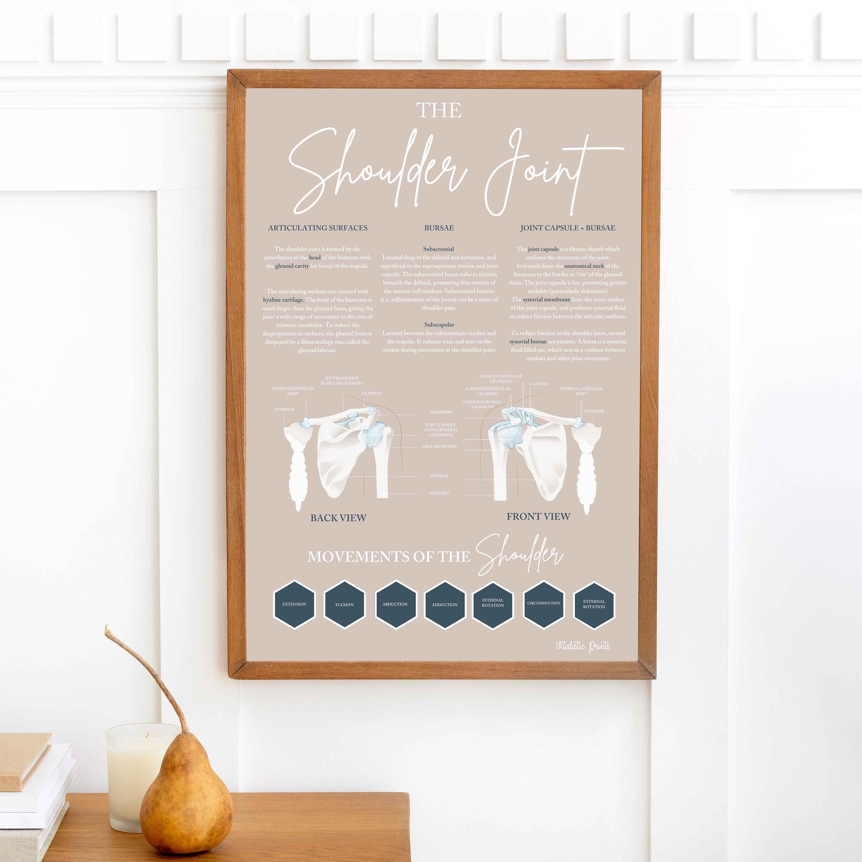 Shoulder Joint // Chiropractic // Health // Subluxation // Anatomy Print // Vitalistic Chiro // Chiropractic Prints // Health Print