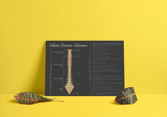 Subluxation Symptoms Chart