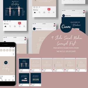 Muscle Anatomy Template For Instagram Post // The Muscular System // Anatomy Graphic // Medical Canva // Anatomy Print // Chiropractic