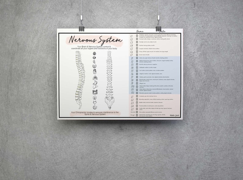 Markable Subluxation Chart Chiropractic Report Of Etsy markable-subluxation-chart-chiropractic-report-of-etsy