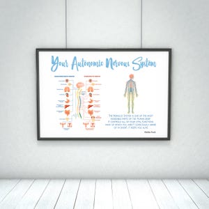 Autonomic Nervous System // Chiropractic // Subluxation // Symptoms // Nervous System // Healing // Pain // Anatomy