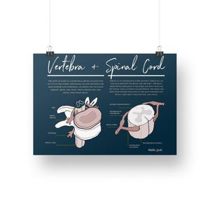 Your Vertebra And Spinal Cord Print // Chiropractic // Subluxation Complex  // Symptoms // Nervous System // Healing // Pain // Anatomy