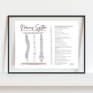 Your Nervous System // Chiropractic // Subluxation // Symptoms // Nervous System // Healing // Pain // Anatomy