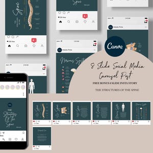 Chiropractic Canva Template For Instagram Post // The Structures Of The Spine // Chiropractic Instagram Graphic // Chiropractic Care