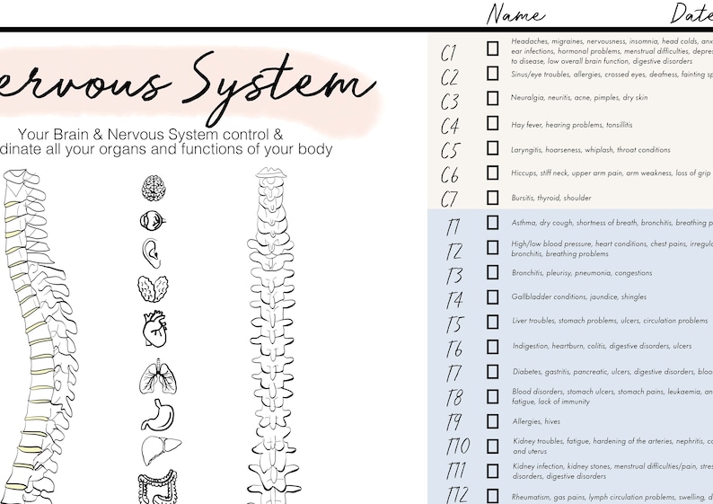 Markable Subluxation Chart Chiropractic Report Of Etsy markable-subluxation-chart-chiropractic-report-of-etsy