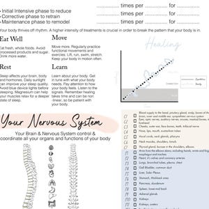 May include: A diagram of the human nervous system with a description of the brain and nervous system's role in coordinating the body's organs and functions. The diagram shows the spine with different organs and body parts labeled with numbers and letters.