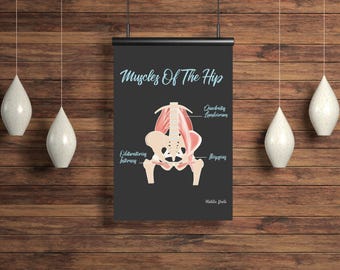 The Muscles In Your Hip // Chiropractic // Subluxation Complex  // Symptoms // Nervous System // Healing // Pain // Anatomy