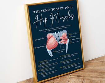 The Functions Of Your Hip Muscles // Vitalistic Chiropractic // Chiropractic Prints // Subluxation // Anatomy Print // Hip Print