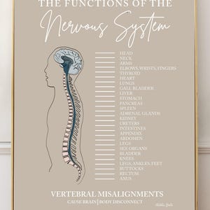 The Functions of The Nervous System // Spinal Nerve Chart // Chiropractic // Subluxation // Nervous System // Healing // Pain // Anatomy