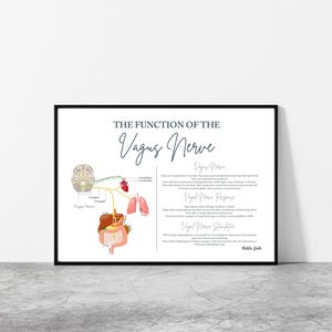 Vagusnerv // Chiropraktik // Hirnnerven // Neurologie Prints // Anatomie Print // Vitalistischer Chiro // Chiropraktik Prints // Vagustonus