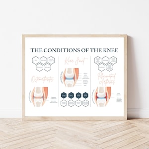 Knee Conditions // Chiropractic // Knee Print  // Osteoarthritis // Anatomy Print // Vitalistic Chiro // Chiropractic Prints