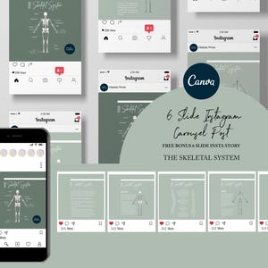 Chiropractic Canva Template For Instagram Post // The Skeletal System // Chiropractic Instagram Graphics // Vertebral Column