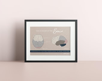 Brain Anatomy Print // Neurologgy Print // Spinal Nerve Chart // Chiropractic // Subluxation // Nervous System // Cervical Spine
