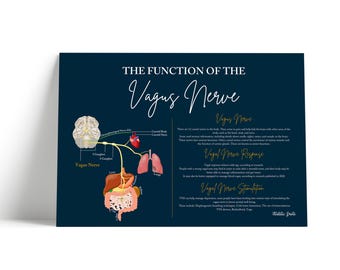 Vagus Nerve // Chiropractic // Cranial Nerves  // Neurology Prints // Anatomy Print // Vitalistic Chiro // Chiropractic Prints // Vagal Tone