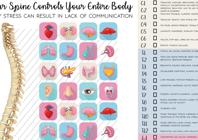 Markable Subluxation Chart Chiropractic Report Of Etsy