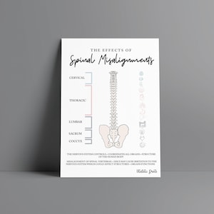 Spinal Nerve Chart // Chiropractic // Subluxation // Symptoms // Nervous System // Healing // Pain // Anatomy