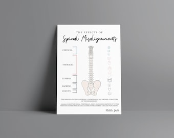 Spinal Nerve Chart // Chiropractic // Subluxation // Symptoms // Nervous System // Healing // Pain // Anatomy