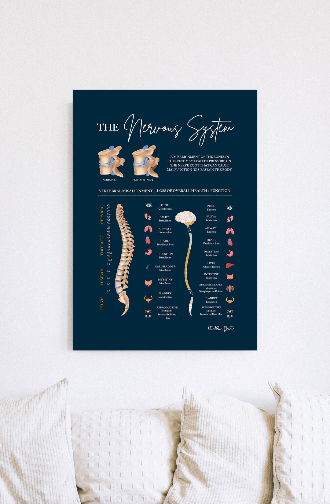 Nervous System Print // Chiropractic // Subluxation // Symptoms ...