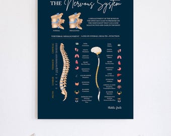 Chiropractic ANS Chart + Nervous System Poster | Subluxation Effects ...