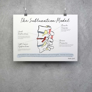 Subluxation Model // Chiropractic // Subluxation Complex  // Symptoms // Nervous System // Healing // Pain // Anatomy