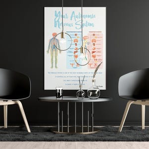 Autonomic Nervous System // Chiropractic // Subluxation // Symptoms // Nervous System // Healing // Pain // Anatomy
