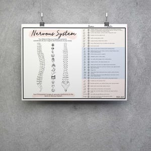 Markeerbare subluxatiegrafiek // Chiropractie // Rapport van bevindingen // Zenuwstelsel // Genezing // Pijn // Anatomie
