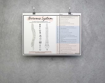 Markable Subluxation Chart // Chiropractic // Report of Findings // Nervous System // Healing // Pain // Anatomy