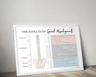 Spinal Nerve Chart // Chiropractic // Subluxation // Symptoms // Nervous System // Healing // Pain // Anatomy