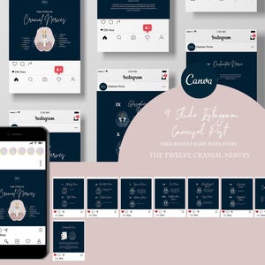 Chiropractic Canva Template For Instagram Post // The Twelve Cranial Nerves // Chiropractic Instagram Graphics // Neurology