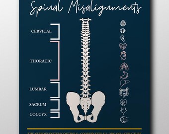 Your Nervous System // Chiropractic // Subluxation // Spinal Nerve Chart Blue // Nervous System // Healing // Pain // Anatomy