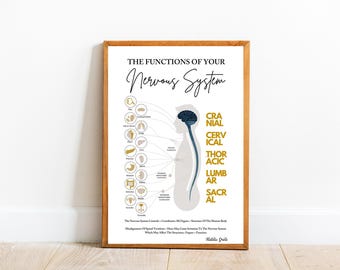 O Sistema Nervoso Imprimir // Quiropraxia // Complexo de Subluxação // Vertebral // Sistema Nervoso // Quiro Vitalista // Impressões Quiropráticas