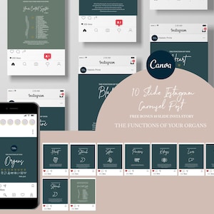 May include: A set of 10 Instagram carousel post templates with a teal green background and white text. The templates feature illustrations of different organs and their functions. The text includes "10 Slide Instagram Carousel Post", "Free Bonus 10 Slide Insta Story", and "The Functions of Your Organs".