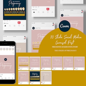 Plantilla de anatomía del embarazo para publicación de Instagram // Las etapas del embarazo // Gráfico del embarazo // Canva médico // Quiropráctica