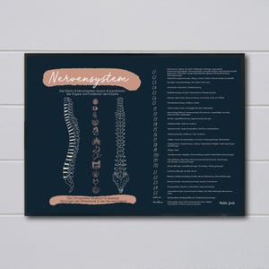 Chiropraktor // German Nervous System // Chiropractic // Nervensystem // Symptoms // Nervous System // Chiropraktor // Pain // Anatomy